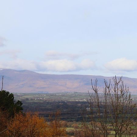 Silver Birch House, Killarney Laune Bridge Exterior foto